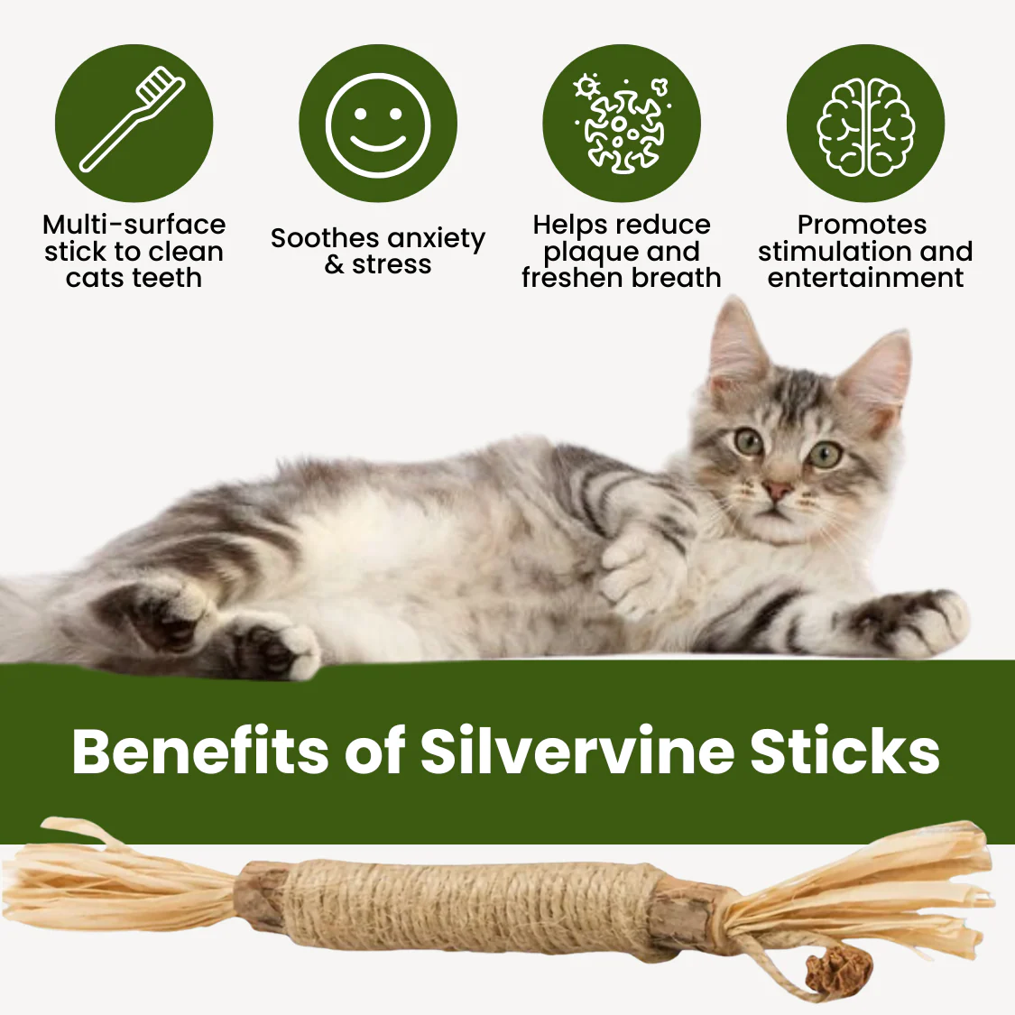 Silvervine Sticks for Cats