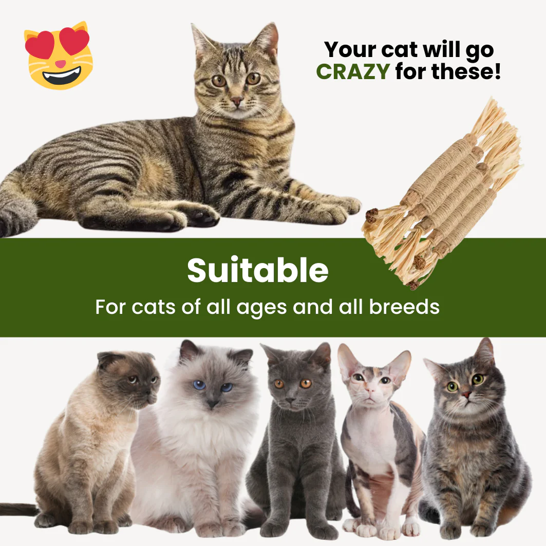 Silvervine Sticks for Cats