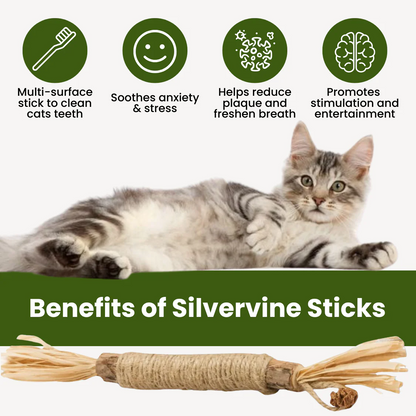 Silvervine Sticks for Cats